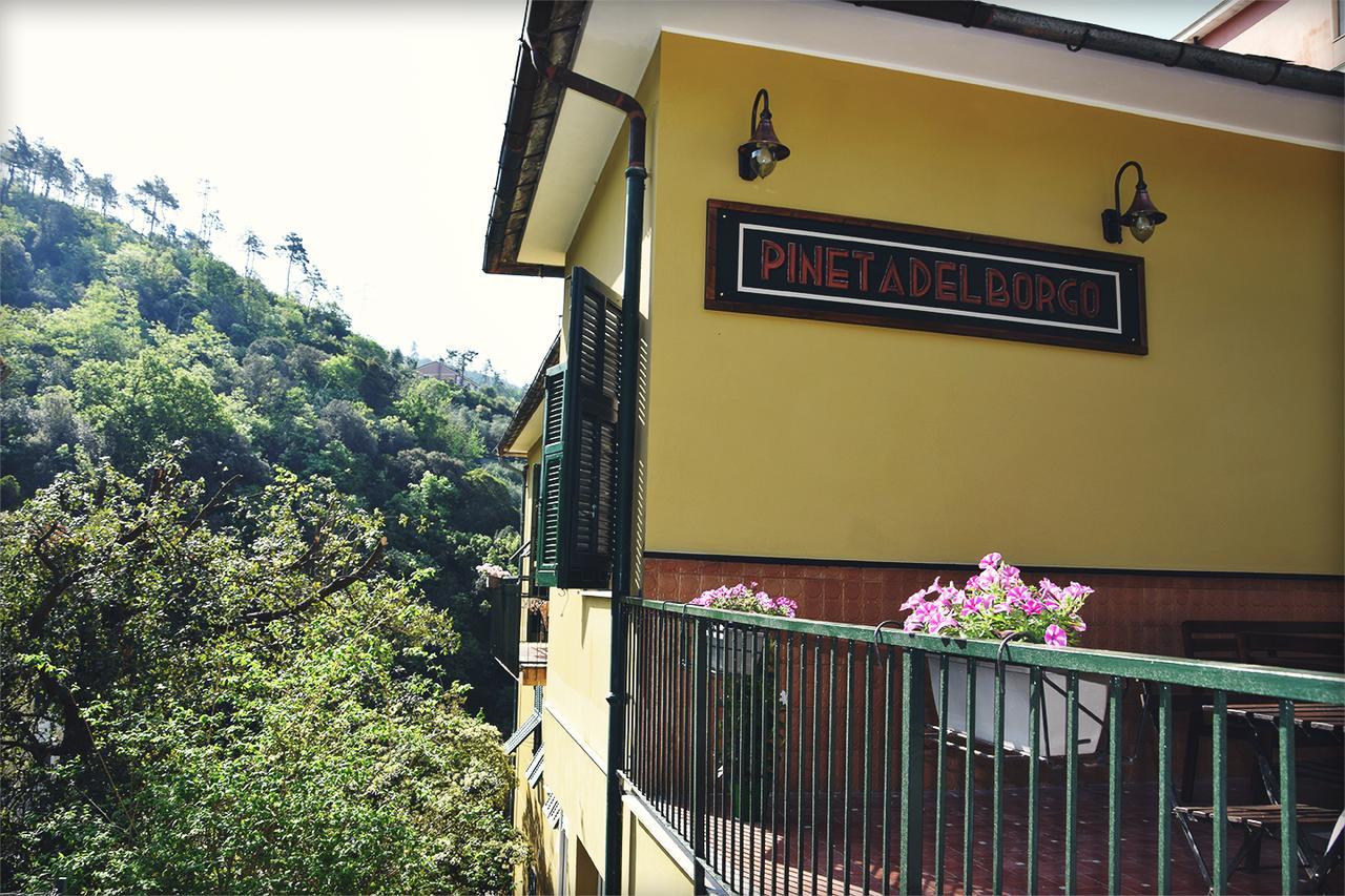 Pineta Del Borgo *