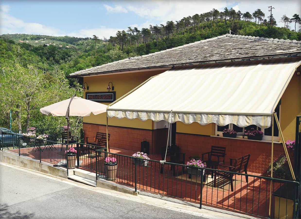 Hotel Pineta Del Borgo *